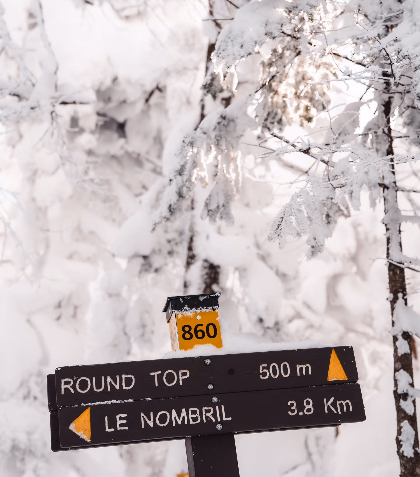 Image from Nature album