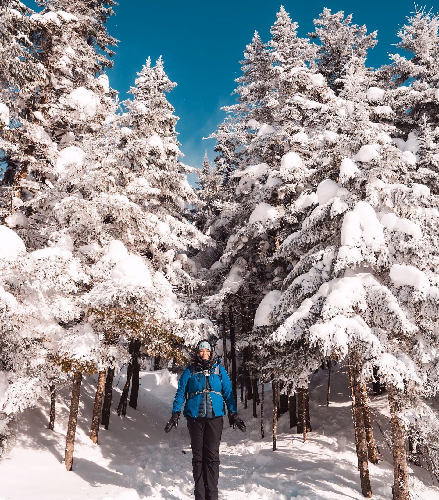 Image from Nature album