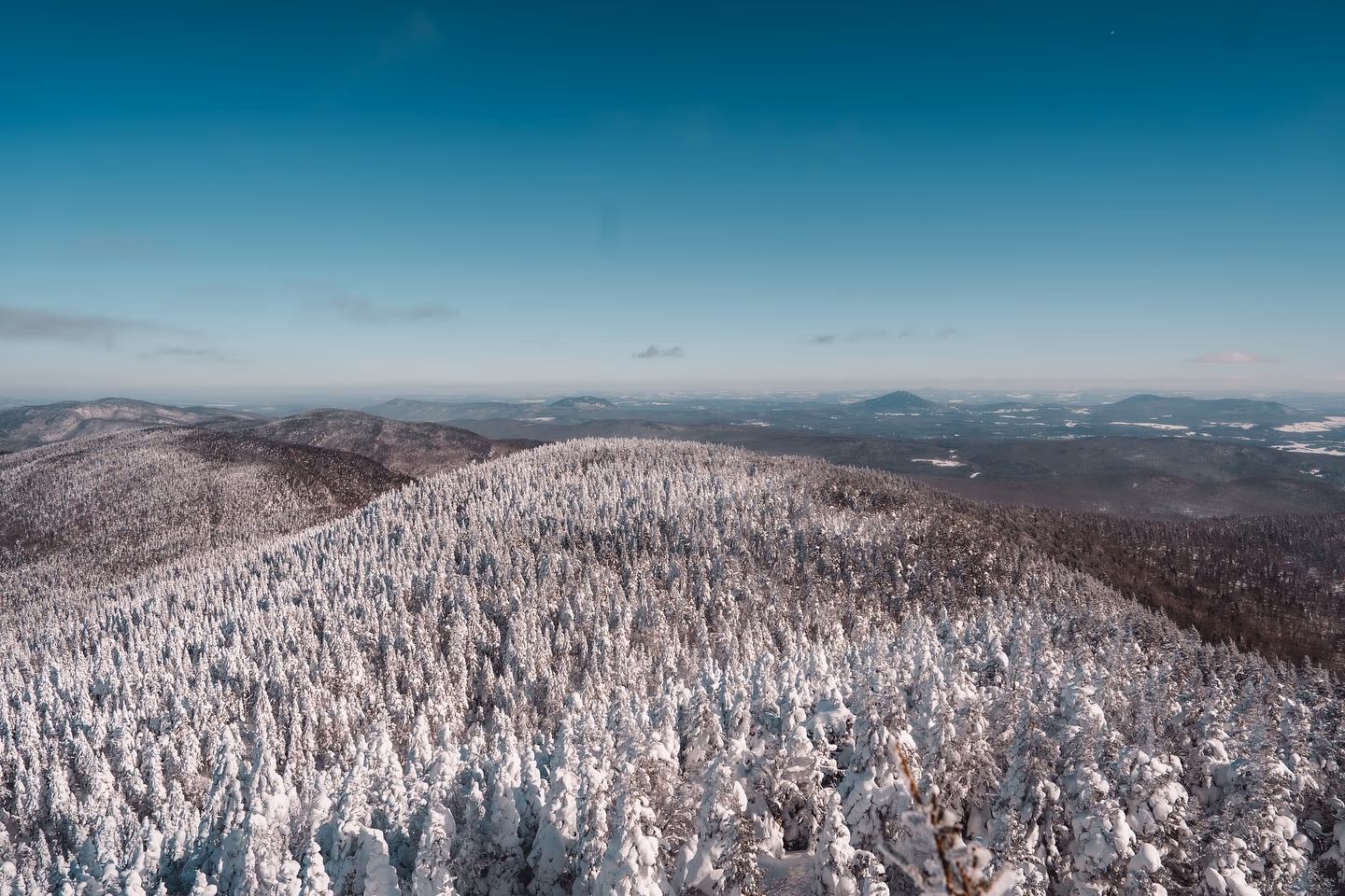 Image from Nature album